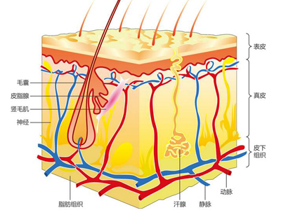 ����������_���߳�������ĵ��`�^