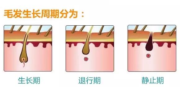 ������Óë �ļ�ͽ����