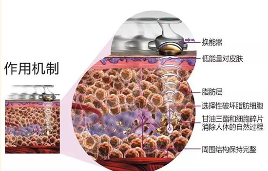 �w��x��&ldquo;������&rdquo;����